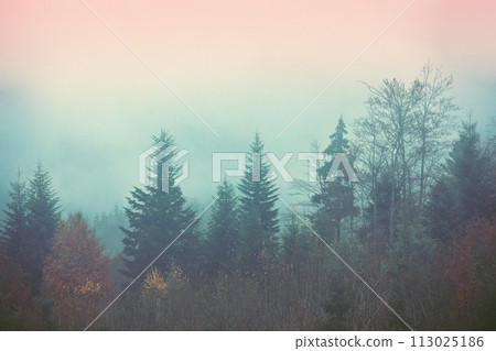 Foggy morning in the mountains. Fantastic mountain view above the clouds 113025186