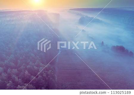 Early misty morning. Sunrise over pinewood and meadow. The countryside in the morning. Top view 113025189