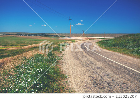 Country asphalt road in the steppe on a sunny summer day 113025207