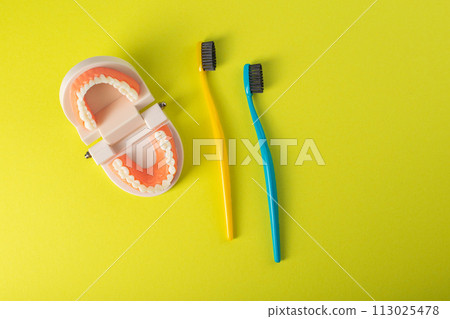 Two toothbrushes with black charcoal bristles on a yellow background with a mock-up of a dental jaw. The concept of dental care and hygiene in dentistry. Copy space for text Two toothbrushes with black charcoal bristles on a yellow background with a mock-up of a dental jaw. The concept of dental care and hygiene in dentistry. Copy space for text 113025478