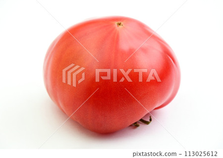 第一個番茄 113025612