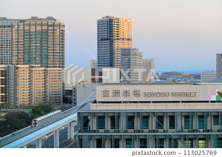黃昏時分,百合海鷗跑過建築群 黃昏時分,百合海鷗跑過建築群 113025769