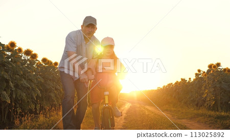 Father teaching daughter driving bike at countryside road with sunflower field sunset sun light. Happy family male parent and girl kid child riding cycle together at agricultural flower plantation Father teaching daughter driving bike at countryside road with sunflower field sunset sun light. Happy family male parent and girl kid child riding cycle together at agricultural flower plantation 113025892