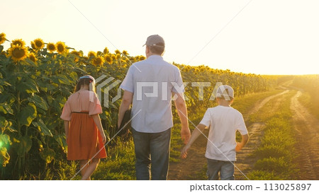 Father with son and daughter walking on road at sunflower field enjoy weekend sunset sunrise back view closeup. Happy family relaxing outdoor spending time together at countryside yellow flower meadow 113025897