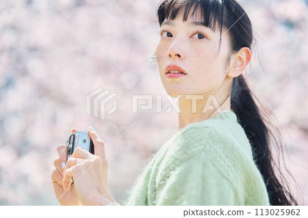 婦女拍照的櫻花 婦女拍照的櫻花 113025962