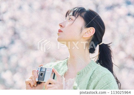 Women taking photos of cherry blossoms 113025964