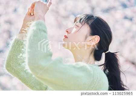 Women taking photos of cherry blossoms Women taking photos of cherry blossoms 113025965