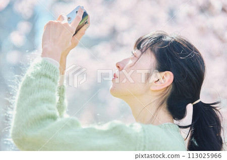 Women taking photos of cherry blossoms Women taking photos of cherry blossoms 113025966