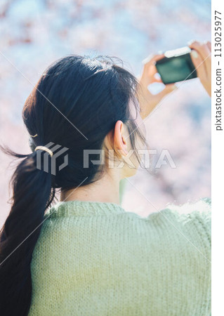 Women taking photos of cherry blossoms 113025977