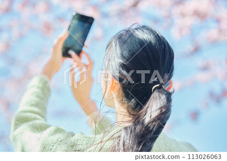 婦女拍照的櫻花 113026063
