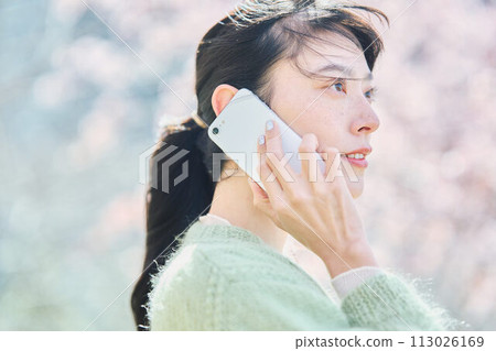 A woman talking on a smartphone under the cherry blossoms A woman talking on a smartphone under the cherry blossoms 113026169