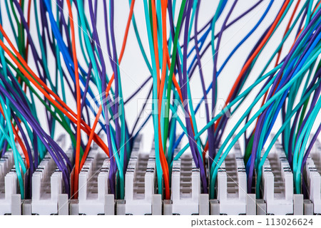 Telecommunication switchboard panel with cables Telecommunication switchboard panel with cables 113026624