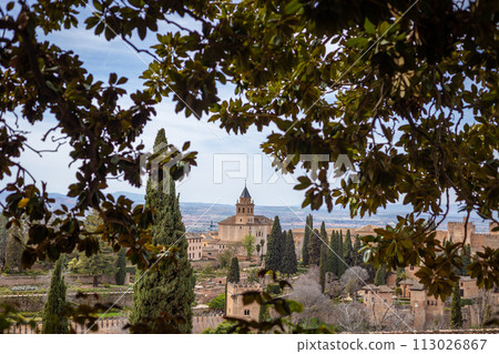 Pain Andalusia Granada Alhambra 113026867