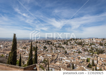 Pain Andalusia Granada Alhambra 113026925