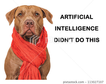 Cute dog and inscription about artificial intelligence 113027107