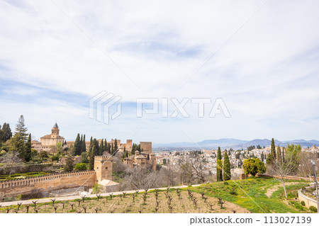Spain Andalusia Granada Alhambra Palace 113027139