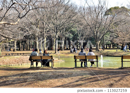 Couples sitting on benches around the pond and chatting 113027259