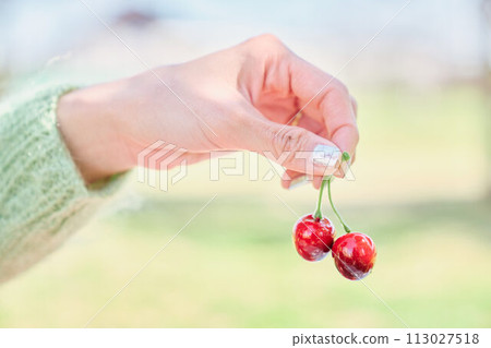 cherry in hand 113027518