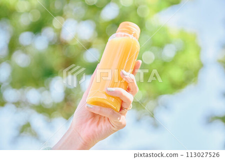 藍天白雲下的柳橙汁和新鮮的綠色植物 113027526