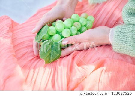 Parts of a woman holding grapes Parts of a woman holding grapes 113027529