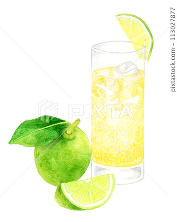 莫斯科騾子和石灰手繪水彩插畫素材的飲料和酒精 莫斯科騾子和石灰手繪水彩插畫素材的飲料和酒精 113027877