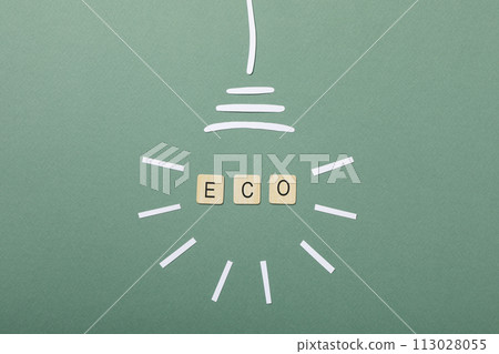 The concept of an eco house, a decorative light bulb with the word eco The concept of an eco house, a decorative light bulb with the word eco 113028055
