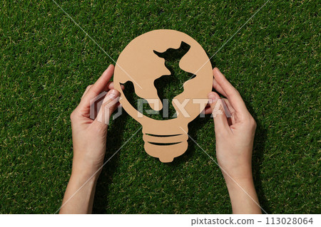 Decorative paper light bulb on the grass Decorative paper light bulb on the grass 113028064