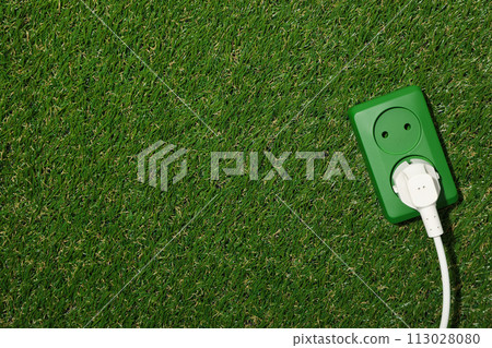 Electric socket with cable on the grass 113028080