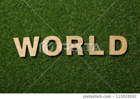 The word world in wooden letters on green grass 113028092