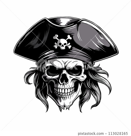 pirate skull 113028165