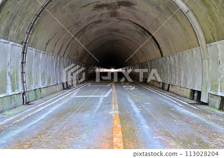 A view of the abolished and closed Kanegasaka Tunnel (Meiji and Showa era tunnel) A view of the abolished and closed Kanegasaka Tunnel (Meiji and Showa era tunnel) 113028204