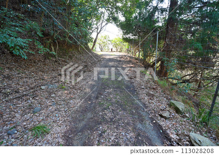 A view of the abolished and closed Kanegasaka Tunnel (Meiji and Showa era tunnel) 113028208