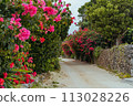 Taketomi Island scenery bougainvillea road Okinawa 113028226