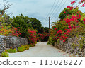 Taketomi Island scenery bougainvillea road Okinawa 113028227