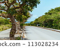 Scenery of Taketomi Island Island road 113028234