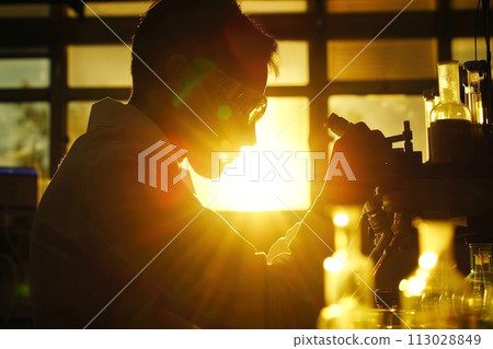 Engrossed scientist examines samples under a microscope Engrossed scientist examines samples under a microscope 113028849