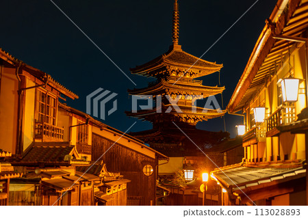 俯瞰塔樓的夜景 113028893