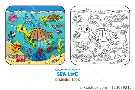 Sea theme. Turtle coloring book. Kids vector Sea theme. Turtle coloring book. Kids vector 113029212