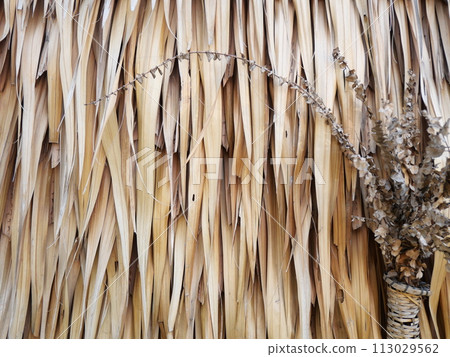 Nipa Palm's leaves are brown and dry. Stacked on the wall Can be used as a background image 113029562