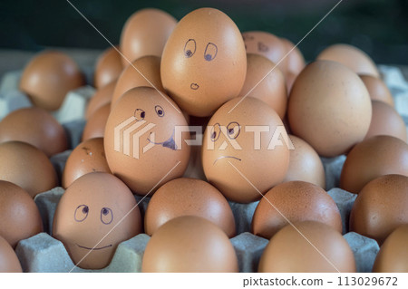 A chicken egg is drawn with lines expressing the feeling of  funny face 113029672