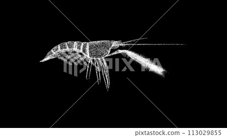 3D Shrimp on black background. Marine Underwater World concept. Restaurant delicacy. Business advertising backdrop. For title, text, presentation. 3d animation 3D Shrimp on black background. Marine Underwater World concept. Restaurant delicacy. Business advertising backdrop. For title, text, presentation. 3d animation 113029855