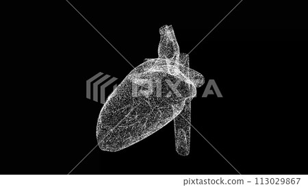 3D Heart on black background. Medical concept. Circulatory system. Business advertising backdrop. For title, text, presentation. 3d animation 113029867