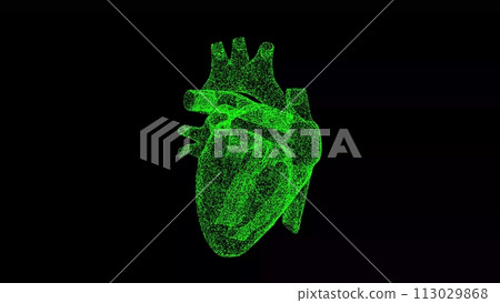3D Half a Heart on black background. Medical concept. Circulatory system. Business advertising backdrop. For title, text, presentation. 3d animation 113029868