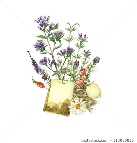 Herb tea. Composition of herbal tea, tea bag, meadow herbs, lungwort, chamomile, rose hips. All elements are hand painted with watercolors on a white background. For printing on fabric and paper. Herb tea. Composition of herbal tea, tea bag, meadow herbs, lungwort, chamomile, rose hips. All elements are hand painted with watercolors on a white background. For printing on fabric and paper. 113030036