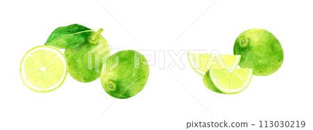 Set of limes, hand-drawn watercolor illustrations of fruits 113030219