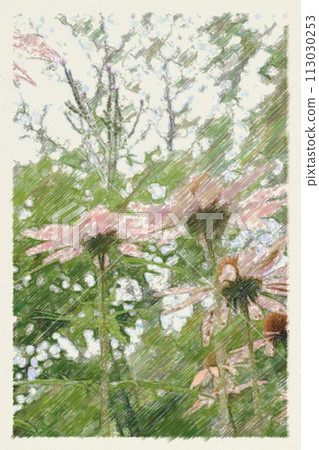 beautiful flowers in the forest 113030253