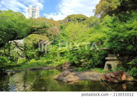 Kanagawa Prefecture, Yokohama City, Kabeyama Park 113031012