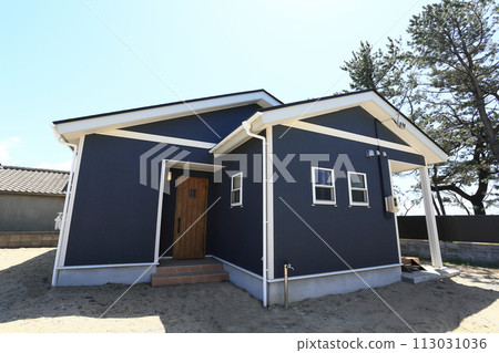 Fashionable exterior image of a new house 113031036