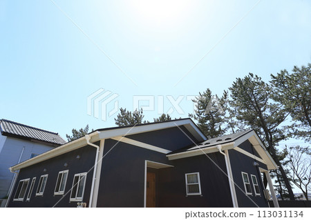 Fashionable exterior image of a new house 113031134