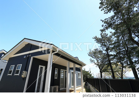 Fashionable exterior image of a new house 113031138